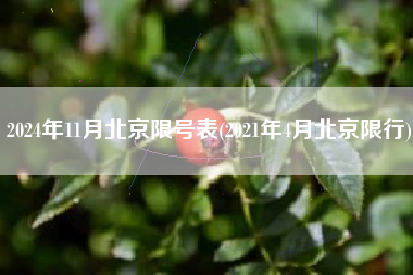 2024年11月北京限号表(2021年4月北京限行)