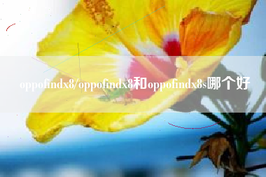 oppofindx8/oppofindx8和oppofindx8s哪个好