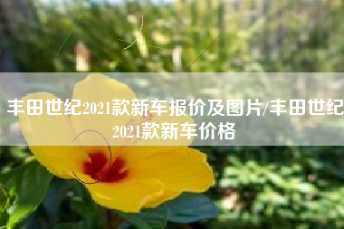 丰田世纪2021款新车报价及图片/丰田世纪2021款新车价格