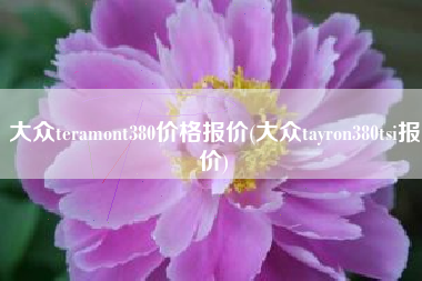 大众teramont380价格报价(大众tayron380tsi报价)