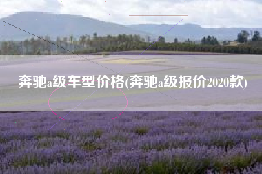 奔驰a级车型价格(奔驰a级报价2020款)