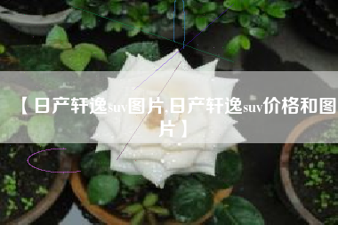 【日产轩逸suv图片,日产轩逸suv价格和图片】