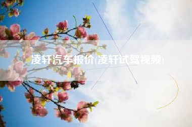 凌轩汽车报价(凌轩试驾视频)