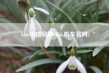 ktm中国官网(ktm机车官网)