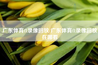 广东体育f1录像回放/广东体育f1录像回放在哪看