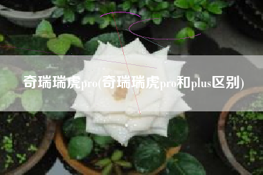 奇瑞瑞虎pro(奇瑞瑞虎pro和plus区别) 奇瑞瑞虎pro(奇瑞瑞虎pro和plus区别)