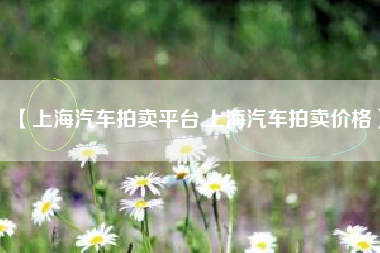 【上海汽车拍卖平台,上海汽车拍卖价格】