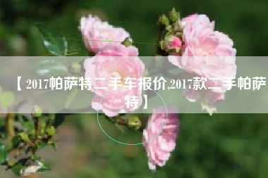 【2017帕萨特二手车报价,2017款二手帕萨特】