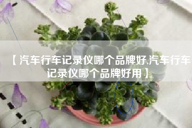 【汽车行车记录仪哪个品牌好,汽车行车记录仪哪个品牌好用】