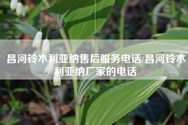 昌河铃木利亚纳售后服务电话/昌河铃木利亚纳厂家的电话