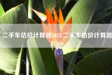 二手车估价计算器2023/二手车估价计算器 023dir 二手车估价计算器2023/二手车估价计算器 023dir
