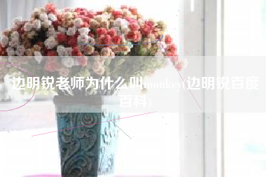 边明锐老师为什么叫monkey(边明锐百度百科)