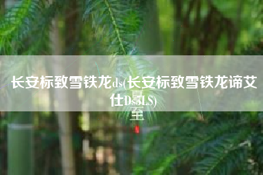 长安标致雪铁龙ds(长安标致雪铁龙谛艾仕Ds5LS)