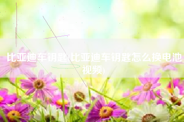 比亚迪车钥匙(比亚迪车钥匙怎么换电池视频)