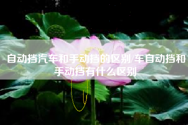 自动挡汽车和手动挡的区别/车自动挡和手动挡有什么区别