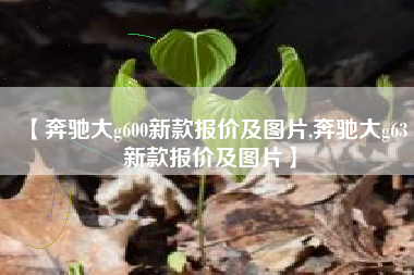 【奔驰大g600新款报价及图片,奔驰大g63新款报价及图片】