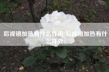 后视镜加热有什么作用(后视镜加热有什么坏处)