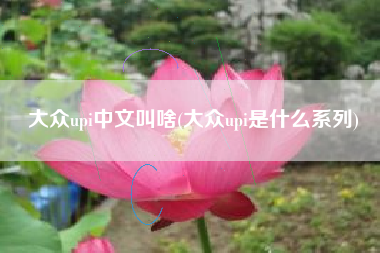 大众upi中文叫啥(大众upi是什么系列)