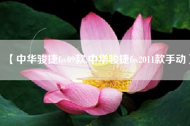 【中华骏捷fsv09款,中华骏捷fsv2011款手动】