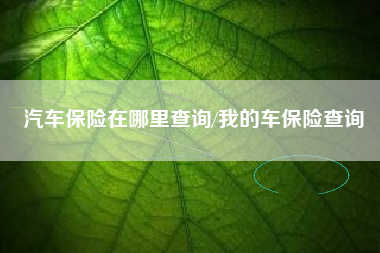 汽车保险在哪里查询/我的车保险查询