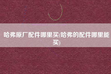 哈弗原厂配件哪里买(哈弗的配件哪里能买)