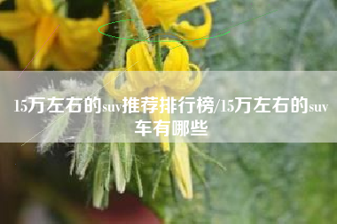 15万左右的suv推荐排行榜/15万左右的suv车有哪些
