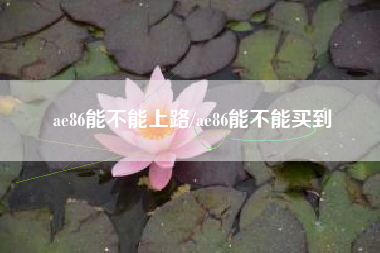 ae86能不能上路/ae86能不能买到