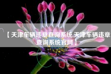 【天津车辆违章查询系统,天津车辆违章查询系统官网】