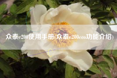 众泰e200使用手册(众泰e200eco功能介绍) 众泰e200使用手册(众泰e200eco功能介绍)