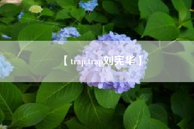 【trap,trap刘宪华】