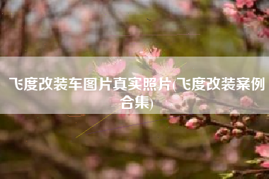 飞度改装车图片真实照片(飞度改装案例合集)