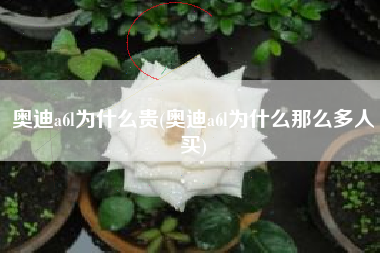 奥迪a6l为什么贵(奥迪a6l为什么那么多人买)