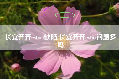 长安奔奔estart缺陷/长安奔奔estar问题多吗