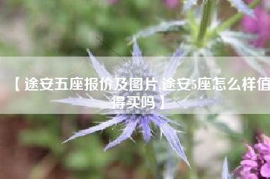 【途安五座报价及图片,途安5座怎么样值得买吗】