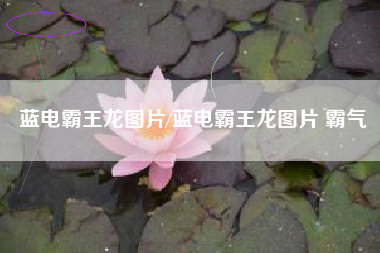 蓝电霸王龙图片/蓝电霸王龙图片 霸气