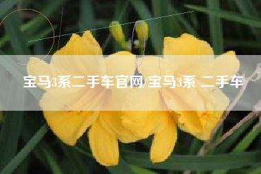 宝马3系二手车官网/宝马3系 二手车 宝马3系二手车官网/宝马3系 二手车
