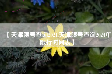 【天津限号查询2021,天津限号查询2024年限行时间表】