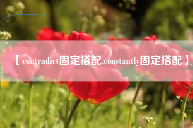 【contradict固定搭配,constantly固定搭配】