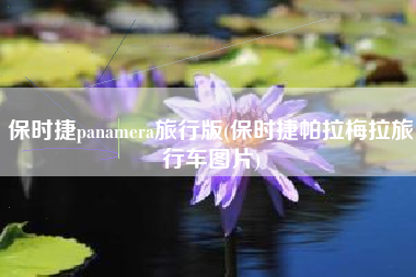 保时捷panamera旅行版(保时捷帕拉梅拉旅行车图片)