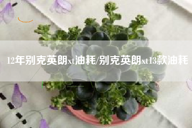 12年别克英朗xt油耗/别克英朗xt13款油耗