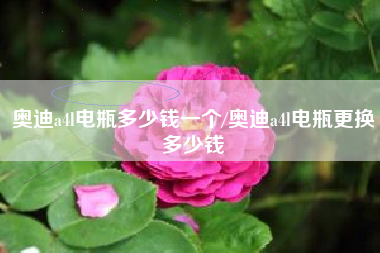 奥迪a4l电瓶多少钱一个/奥迪a4l电瓶更换多少钱 奥迪a4l电瓶多少钱一个/奥迪a4l电瓶更换多少钱