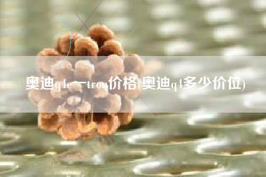 奥迪q4e一tron价格(奥迪q4多少价位)