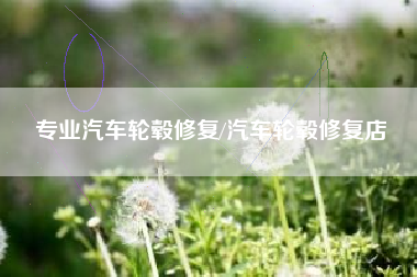 专业汽车轮毂修复/汽车轮毂修复店