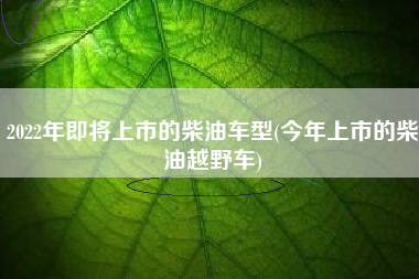 2022年即将上市的柴油车型(今年上市的柴油越野车)
