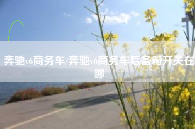 奔驰v6商务车/奔驰v6商务车后备箱开关在哪