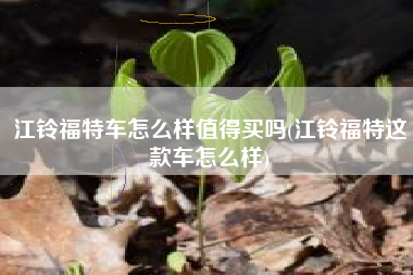 江铃福特车怎么样值得买吗(江铃福特这款车怎么样)